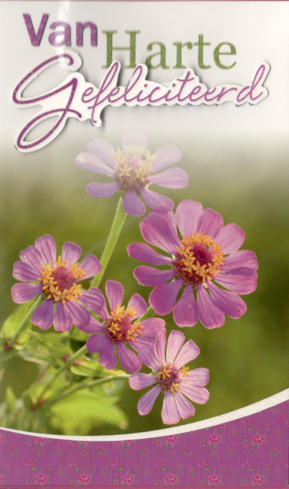 Felicitatiekaart vrouwen met paarse weidebloemen