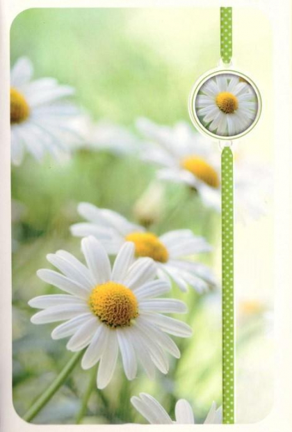 Blanco bloemenkaart