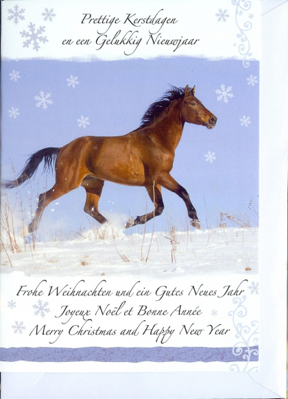 Meertalige kerstkaart met paard