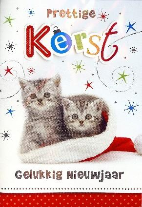 kerstkaartjes met poezen - kittens