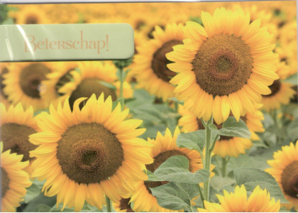 Snel weer beter met deze prachtige kaart vol zonnebloemen!