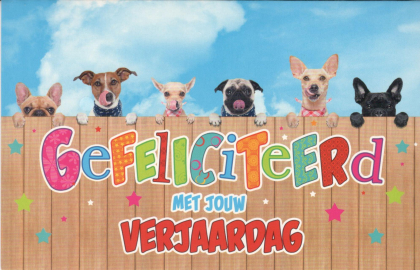 Super grappig verjaardagskaartje met dieren