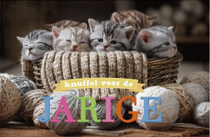 Verjaardagskaart kattjes