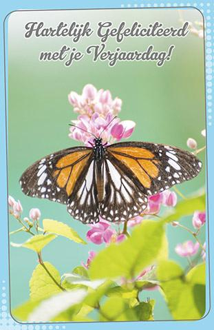 Verjaardagskaart met vlinder op plant