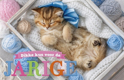 Verjaardagskaart poes