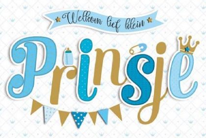 Welkom lief klein PRINSJE