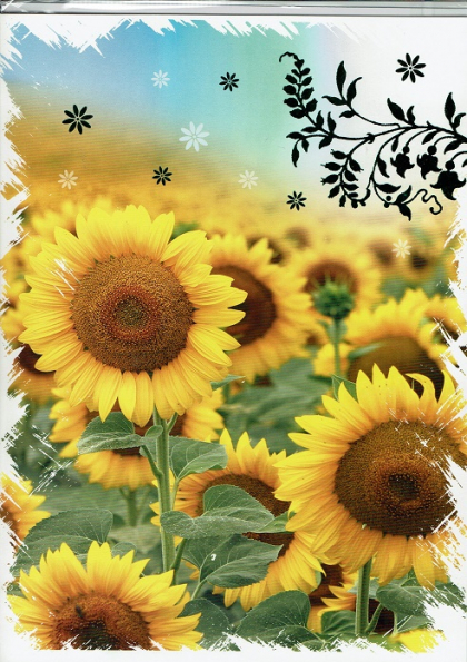 grote wenskaart met zonnebloemen en witte rand
