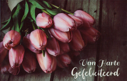 felicitatiekaart met roze tulpen
