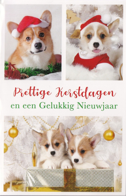 kerstkaartjes met puppies