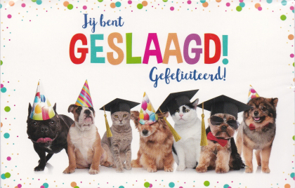 geslaagd honden en katten met feest hoeden en andere accessoires