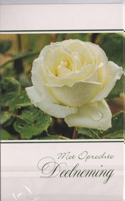 rouwkaartje witte roos en groene achtergrond