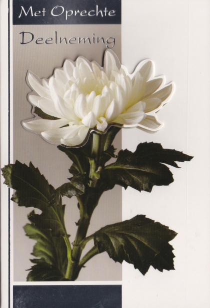 met oprechte deelneming, witte bloem