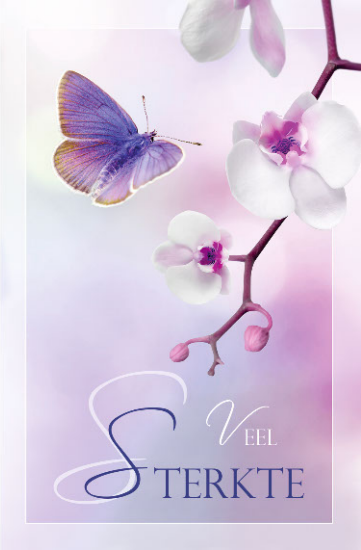 Veel sterkte kaart met paarse vlinder 