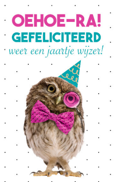 Felicitatiekaart met feest uil