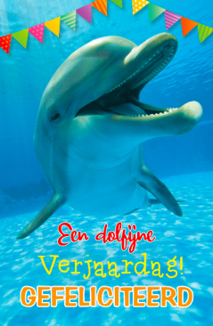 verjaardagskaart met dolfijn