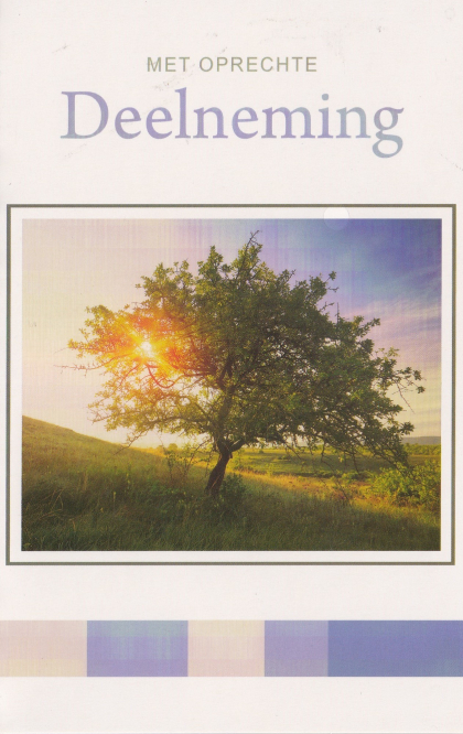 Rouwkaart met een boom met zonnestralen