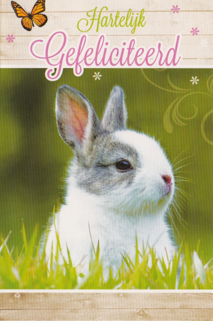 Verjaardagskaart met een konijn in gras