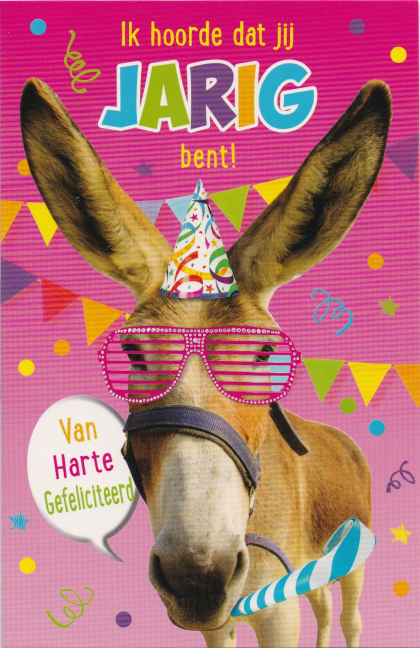 verjaardagskaart met grappige ezel en versiering