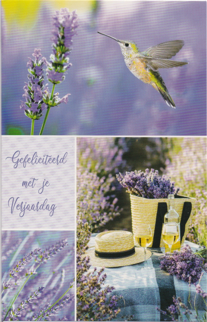 paarse felicitatiekaart met vogel en lavendel