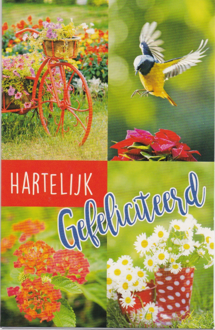 Vier natuurbeelden: bloemen, vogel op rode bloemen, tekst "Hartelijk Gefeliciteerd" in het midden, onderste bloemen in stippenmok.