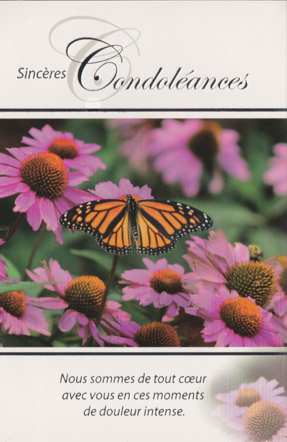 Rouwkaart met tekst "Sincères Condoléances", monarchvlinder op roze bloemen, onderste tekst "Nous sommes de tout cœur avec vous en ces moments de douleur intense".