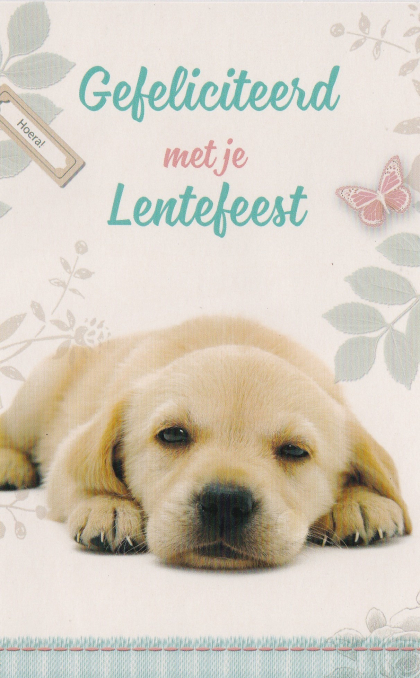 Labradorpuppy ligt op wit achtergrond met bloemen en tekst "Hoera! Gefeliciteerd met je Lentefeest" in groen en roze letters.