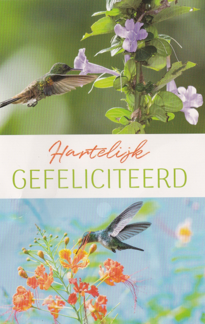 felicitatiekaart met vogeltjes