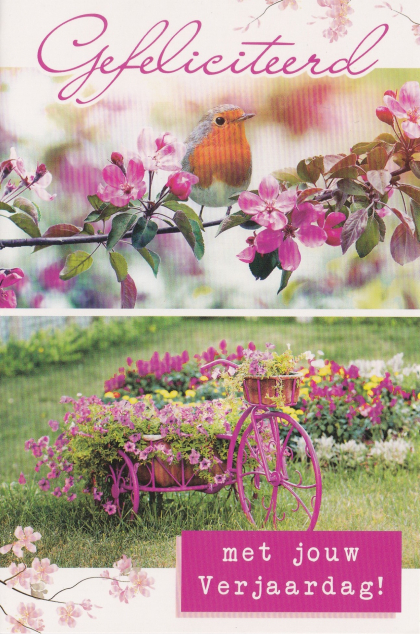 Felicitatiekaart met roze achtergrond