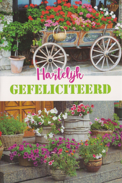felicitatiekaart met prachtige bloemen