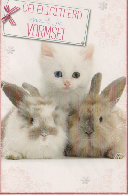 communiekaart met schattige kitten en konijntjes