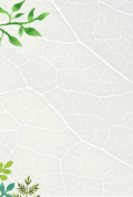 Lichtgroen patroon van bladeren met witte nerven. Links boven en onder zijn enkele groene blaadjes zichtbaar.