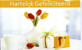 500 Verjaardagkaarten/ Felicitatiekaarten