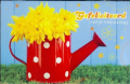 500 Verjaardagkaarten/ Felicitatiekaarten
