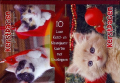 60 kerstdozen - reeks 1