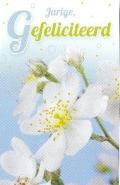 500 Verjaardagkaarten/ Felicitatiekaarten
