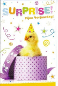500 Verjaardagkaarten/ Felicitatiekaarten