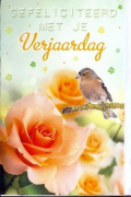 500 Verjaardagkaarten/ Felicitatiekaarten