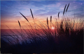 Blanco kaart met zonsondergang