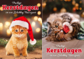 60 kerstboxen met 10 kerstkaarten incl enveloppen