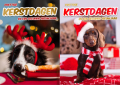 60 kerstboxen met 10 kerstkaarten incl enveloppen