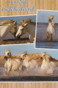 Verjaardagskaart met witte paarden