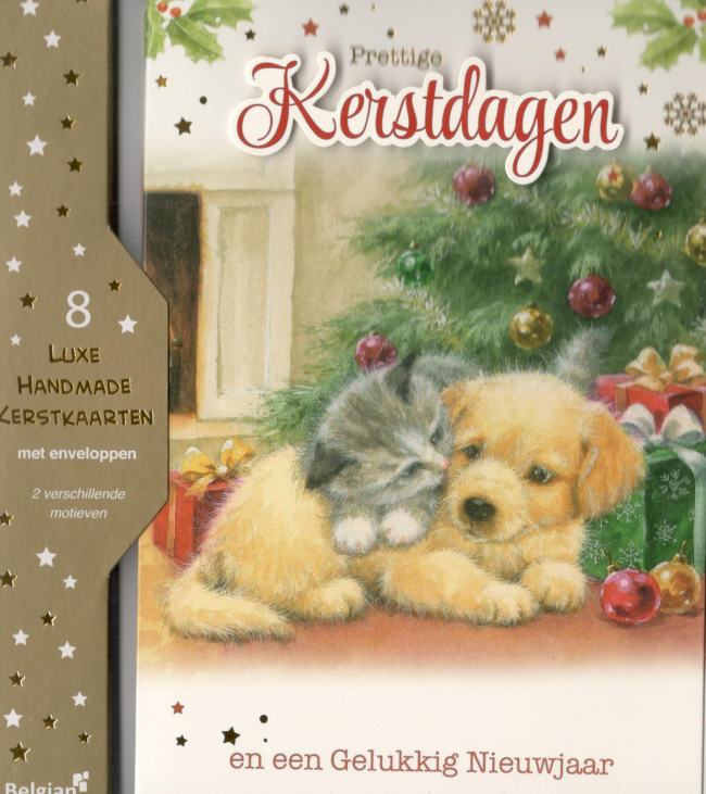 getekende kerstkaartjes met hond en poes